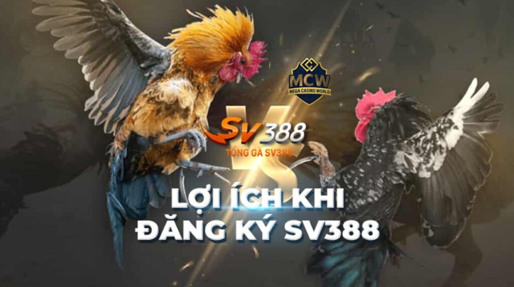 Tổng quan cơ bản về sàn đá gà SV388